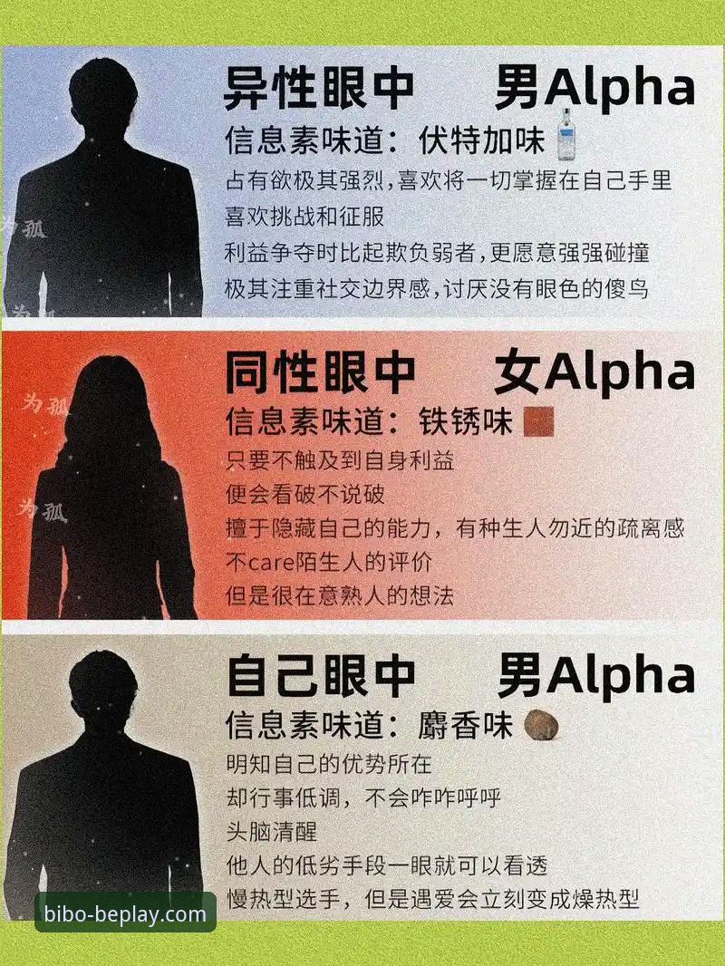 3个维度解析beplay必博娱乐：从注册到体验的全方位指南